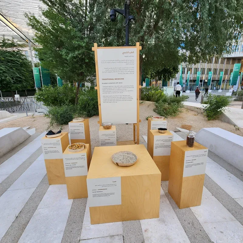 Outdoor traditional medicine exhibit with wooden pedestals displaying herbal remedies and information boards